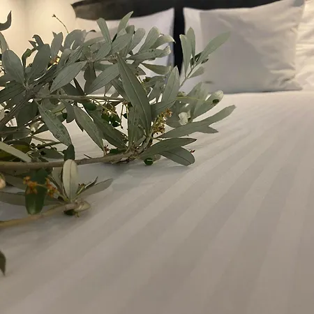Oniropetra Luxury Aparthotel Armakha